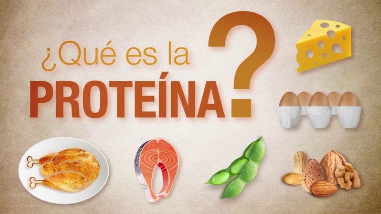 Qué son y para qué sirven las proteína