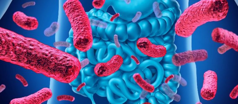 Los probióticos son bacterias buenas