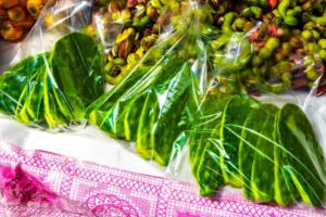 Errores comunes al cocinar nopales