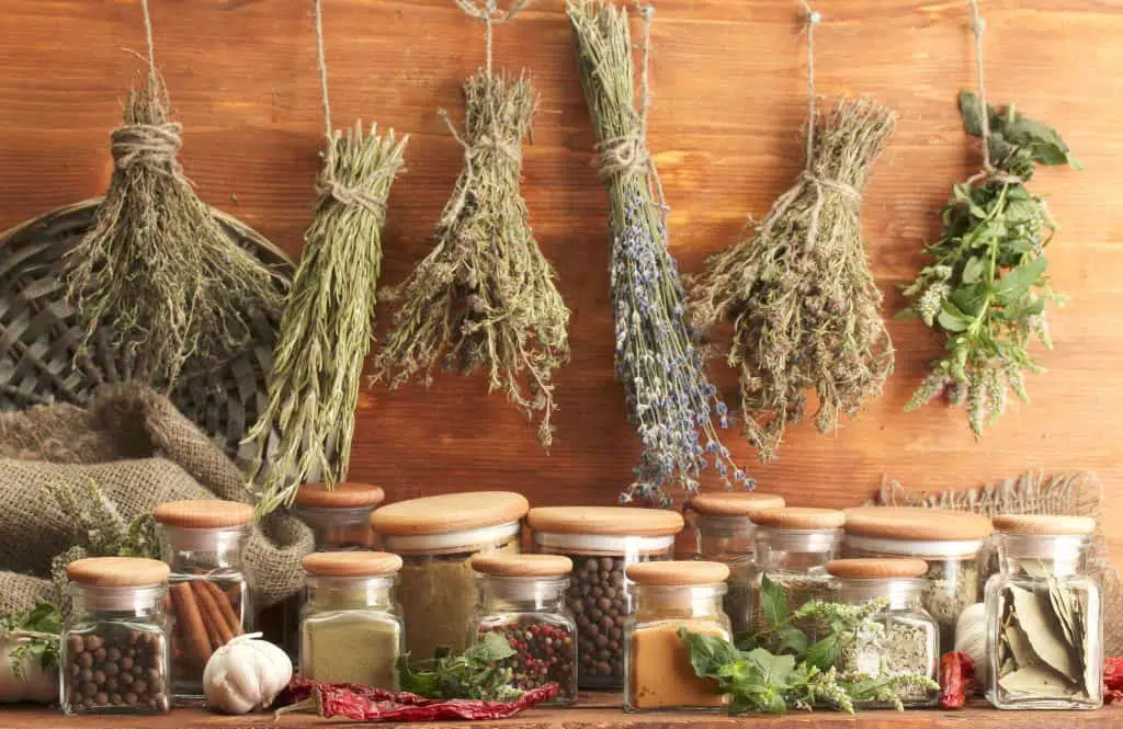 hierbas para cocinar