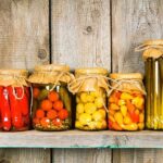 fermentos y encurtidos