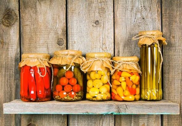 fermentos y encurtidos